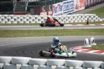 WSK Val Vibrata