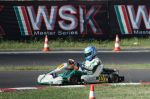 WSK Siena